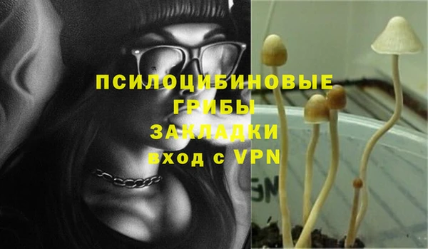 спиды Абаза