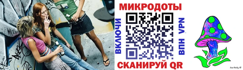 Галлюциногенные грибы Psilocybine cubensis  Старая Русса 